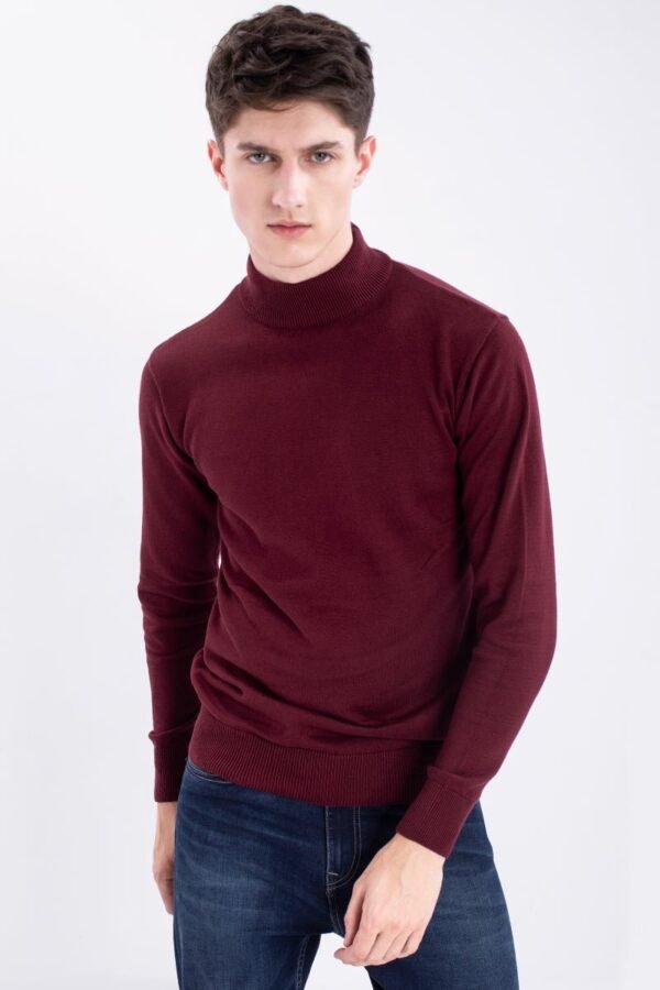 Maroon Solid Rib-Knit Turtle Neck Sweater